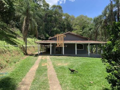Sítio, 4 quartos, 5000 m² - Foto 1