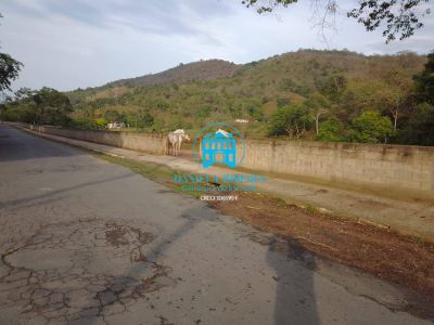 Terreno, 7 hectares - Foto 4