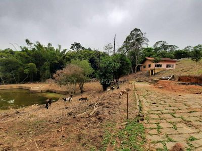 Terreno, 2 hectares - Foto 4