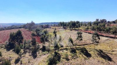 Terreno, 24 hectares - Foto 3