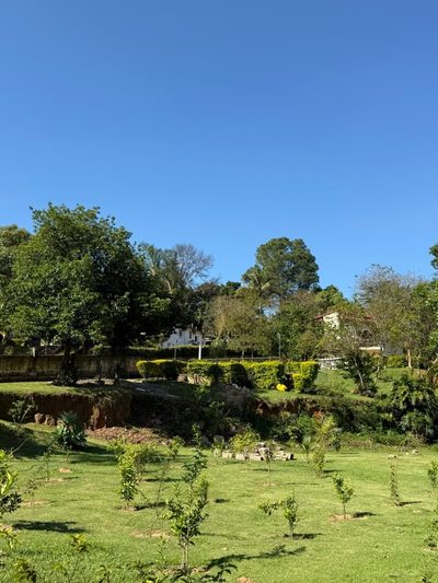 Chácara, 6 quartos, 3250 m² - Foto 2