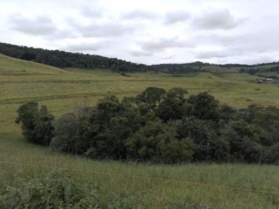 Fazenda, 130 hectares - Foto 4