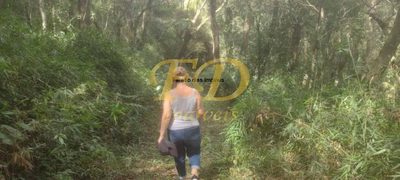 Terreno, 4 hectares - Foto 2