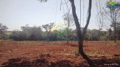 Chácara, 1 quarto - Foto 4