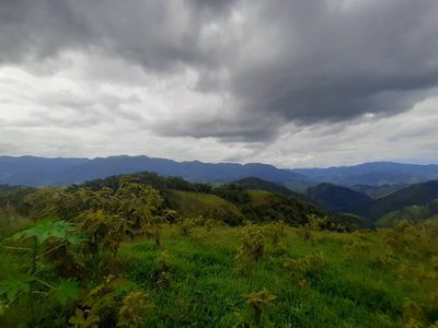 Terreno, 4 hectares - Foto 4
