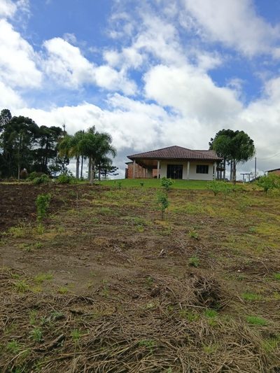 Terreno, 5 hectares - Foto 4