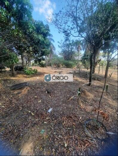 Terreno, 5000 m² - Foto 3