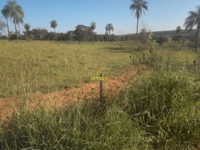 Fazenda, 19 hectares - Foto 3