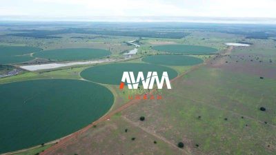 Fazenda, 5614 hectares - Foto 3