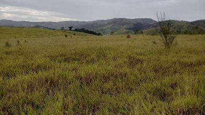 Fazenda, 17 hectares - Foto 4