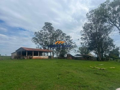 Fazenda, 311 hectares - Foto 3