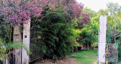 Sítio, 3 quartos, 508 m² - Foto 2