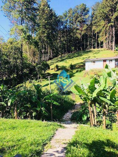 Chácara, 2 quartos, 4000 m² - Foto 3