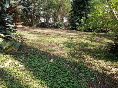 Loteamento e Condomínio, 3542 m² - Foto 2