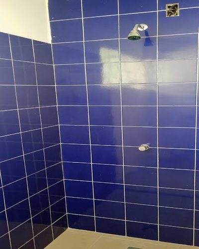 Casa, 3 quartos, 477 m² - Foto 3
