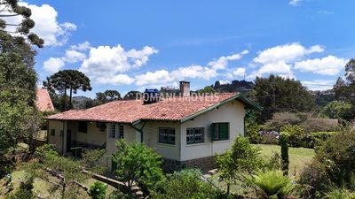 Casa, 4 quartos - Foto 4