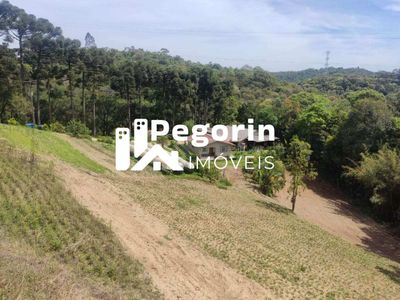 Chácara, 3 quartos - Foto 3