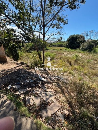 Terreno, 2500 m² - Foto 4