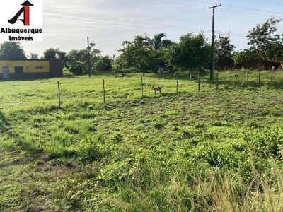 Terreno, 10 hectares - Foto 2