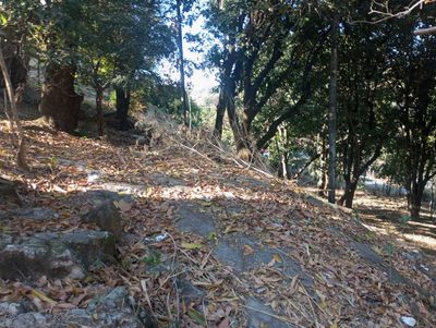 Terreno, 6290 m² - Foto 2
