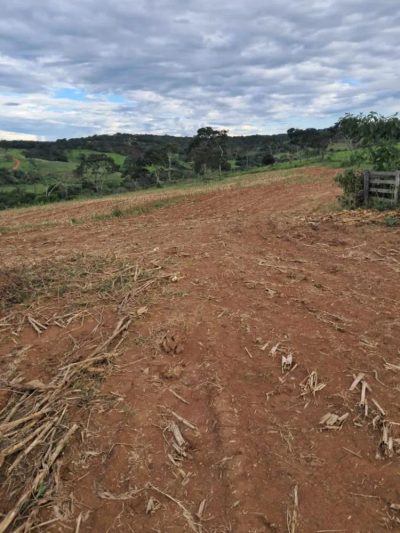 Fazenda - Foto 4