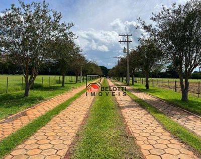 Fazenda, 303 hectares - Foto 3