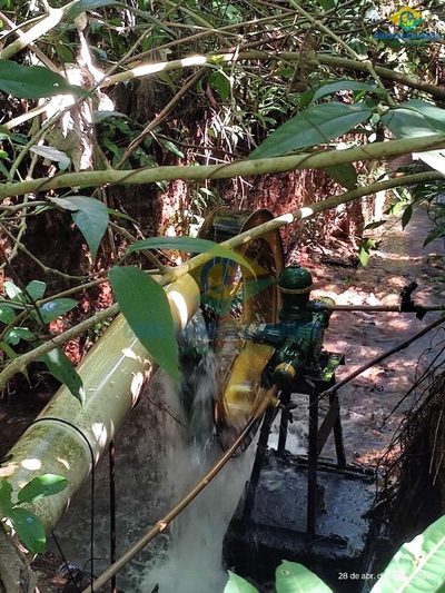 Fazenda, 3 quartos - Foto 4
