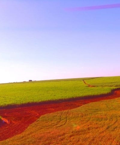 Fazenda, 58 hectares - Foto 2