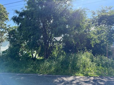 Terreno, 1000 m² - Foto 3