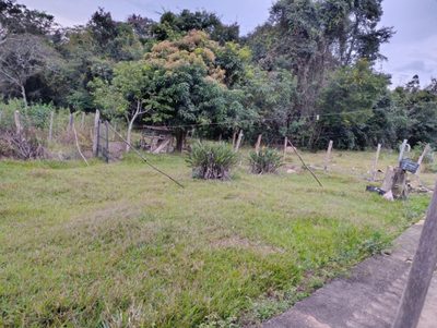Sítio, 4 quartos, 100 m² - Foto 4