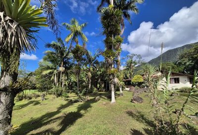 Chácara, 2 quartos, 3 hectares - Foto 3