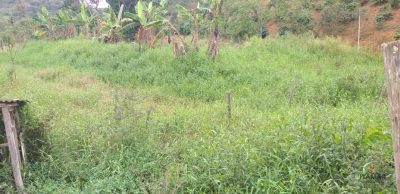 Terreno, 11 hectares - Foto 2