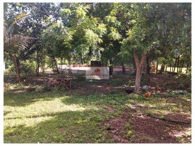 Fazenda, 4550 m² - Foto 4