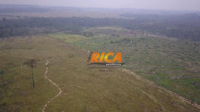 Fazenda, 387 hectares - Foto 4