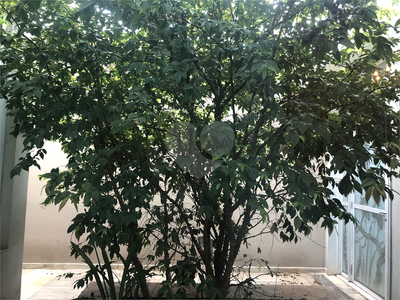 Sobrado, 4 quartos, 600 m² - Foto 2