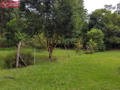 Terreno, 8 hectares - Foto 5