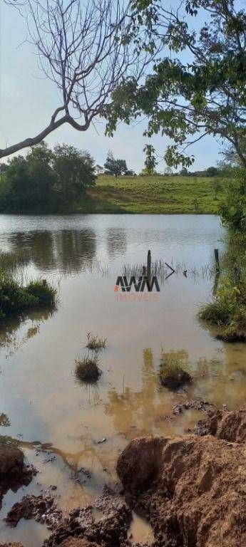 Fazenda, 213 hectares - Foto 2