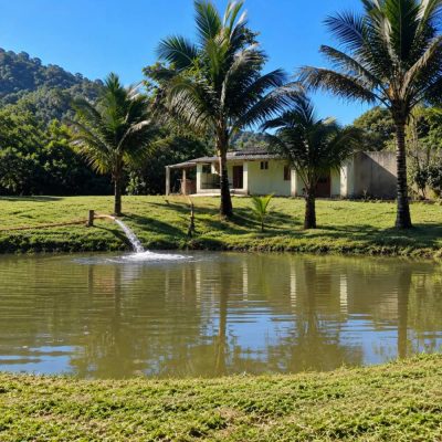 Chácara, 2 quartos, 2 hectares - Foto 4