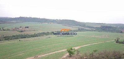 Fazenda, 390 hectares - Foto 4
