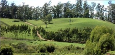 Fazenda, 300 m² - Foto 5