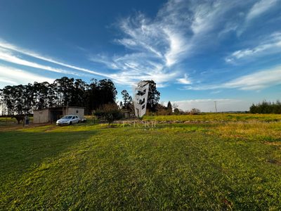 Terreno, 2 hectares - Foto 4