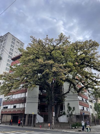 Apartamento, 3 quartos, 142 m² - Foto 1