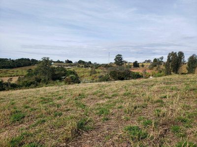 Terreno, 6 hectares - Foto 4