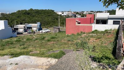 Terreno, 185 hectares - Foto 2