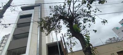 Apartamento, 4 quartos, 251 m² - Foto 1