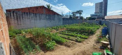 Terreno, 270 m² - Foto 3