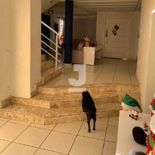 Casa, 4 quartos, 430 m² - Foto 4