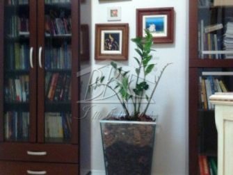 Apartamento, 3 quartos, 160 m² - Foto 2