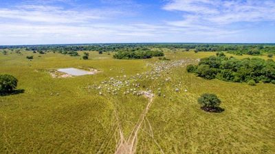 Fazenda - Foto 3