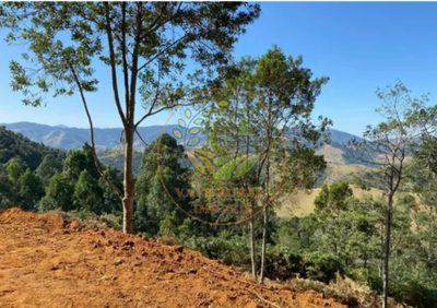 Fazenda - Foto 2